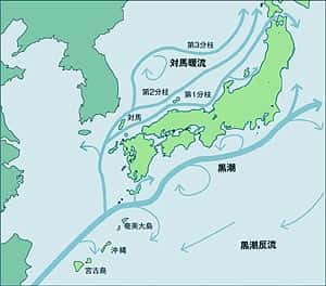 日本列島周辺の潮流