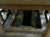 守屋神社境内裏の石棺