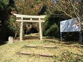 石上神社　境内入口の鳥居