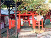 春日大社 多賀神社