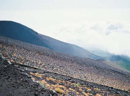 The scenery at the foot of Mt. Fuji