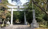 若宮神社 鳥居