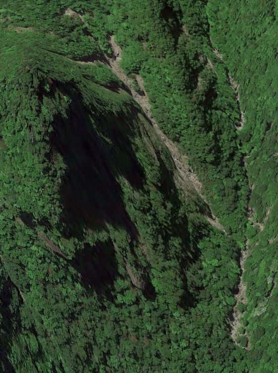 熊野奥地にある奥坊主の真下は周辺唯一の崖
