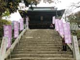 筑波山神社の境内石段