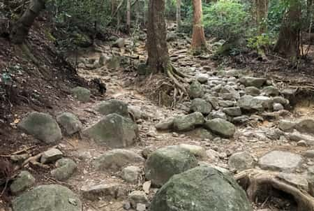 Rocky mountain path for climbing Mt. Tsukuba