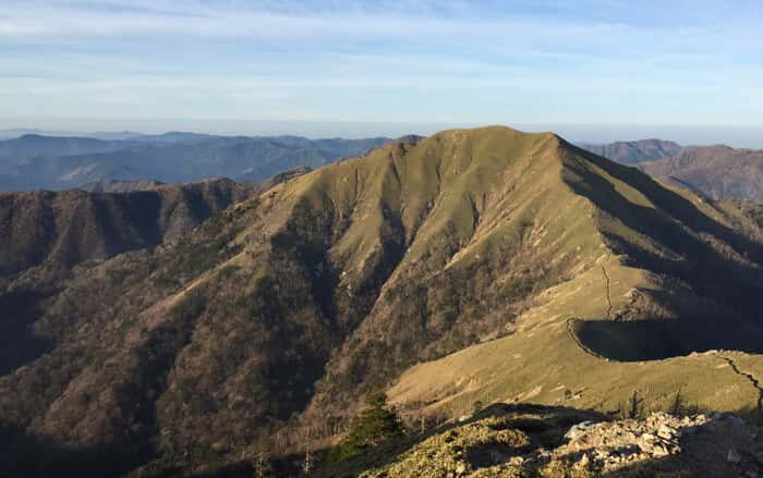 森林帯上部の山の尾根に続くササ原