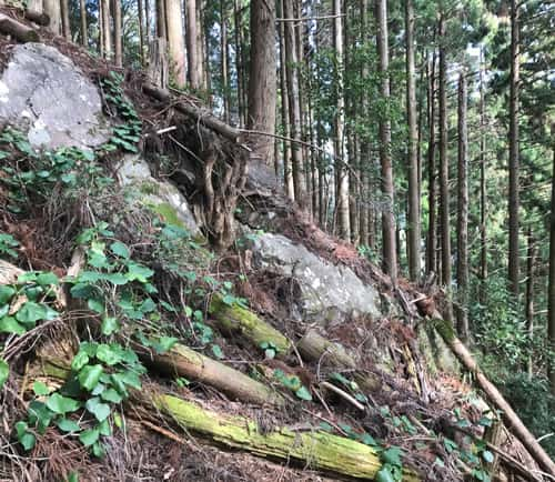 急斜面の岩場が続く若杉山遺跡