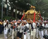 日和佐秋祭り 神輿