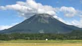 夏季に眺める大山の絶景