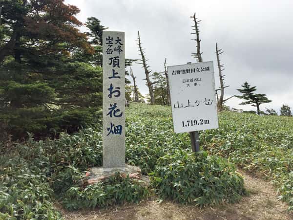A 'flower field' spreading over the summit of Sanjogatake