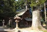 阿紀神社　本殿