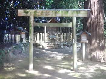 自然に囲まれた阿射加神社の境内