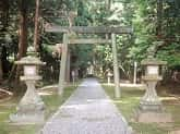 緑が美しい阿射加神社の参道