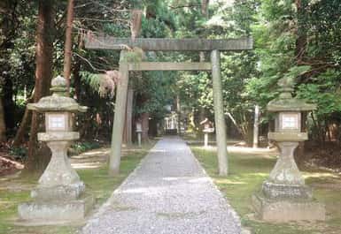 緑が美しい阿射加神社の参道