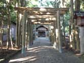 磯神社 参道