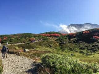 旭岳登山道