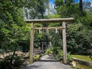 木嶋神社 (蚕の社)　元糺の池への鳥居