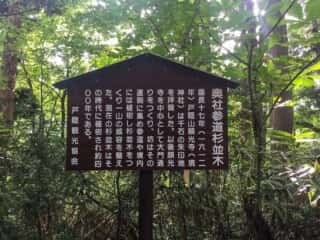戸隠神社奥社参道杉並木
