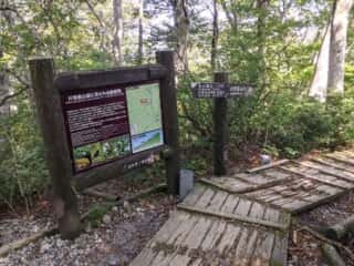 大山登山道