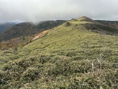 土佐矢筈山・小桧曽山