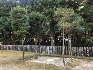 黄金山神社　神域