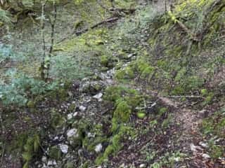 丸笹山