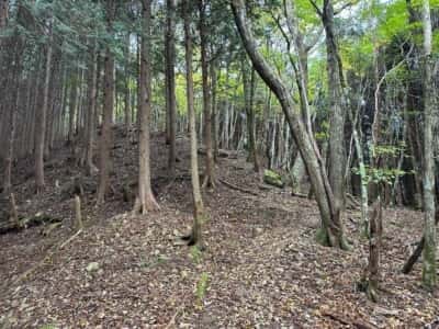 土佐矢筈山・小桧曽山