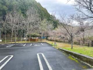 四国八十八ヶ所霊場 第40番札所 観自在寺〜宇和島駅