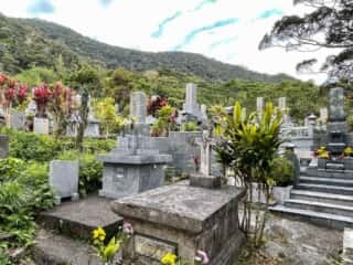 奄美大島 ブイジュ師の墓地