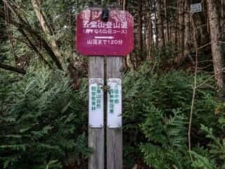 五葉山