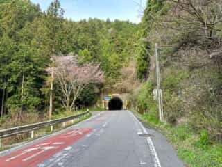 いやしの宿八丁坂〜四国八十八ヶ所霊場 第46番札所 浄瑠璃寺