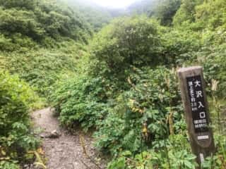 羅臼岳登山道