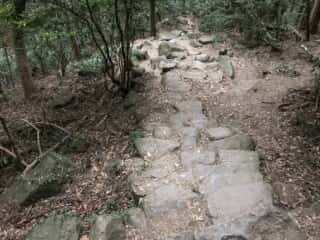筑波山登山道