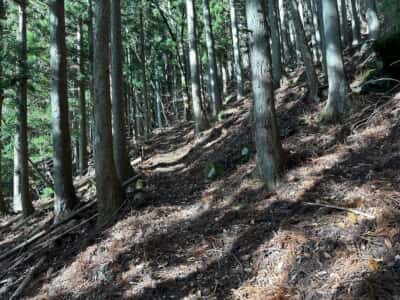 黒笠山