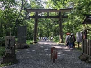 戸隠神社　参道