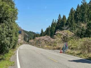 伊代大洲駅〜四国八十八ヶ所霊場 第44番札所 大寶寺