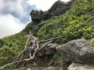 羅臼岳登山道