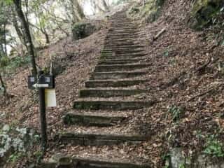 筑波山自然研究路