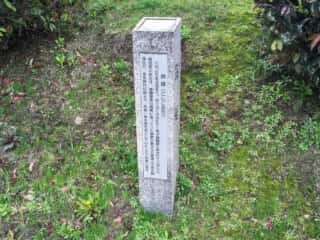 錦織の説明