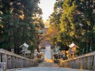 黄金山神社　参道