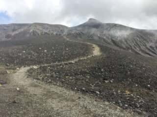 十勝岳望岳台登山口コース