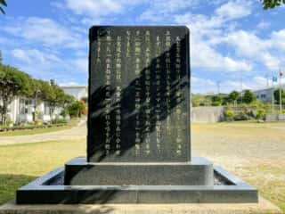 沖永良部島 日本一のガジュマル