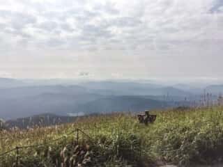 三瓶山登山道