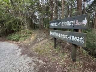 天岩戸別神社