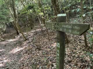 四国八十八ヶ所 80番札所 国分寺〜81番札所 白峯寺