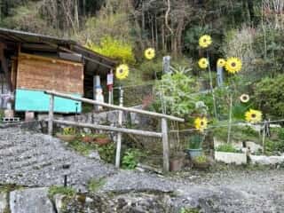 四国八十八ヶ所霊場 第44番札所 大寶寺〜第45番札所 岩屋寺