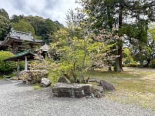 四国八十八ヶ所霊場 第50番札所 繁多寺