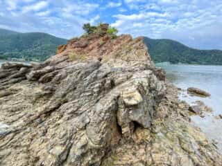 奄美大島 久場立神 千年松跡地