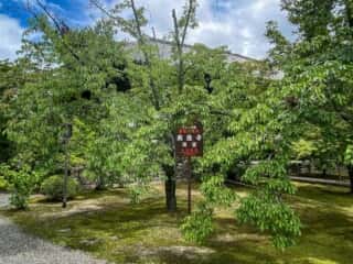 広隆寺　講堂