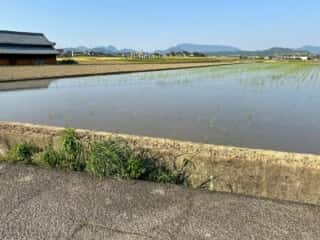 四国八十八ヶ所霊場 第67番札所 大興寺〜第68番札所 神恵院